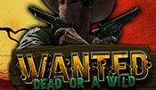 Wanted Dead Or A Wild Automat